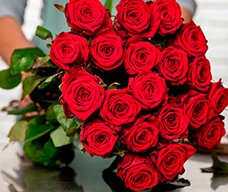 Enviar rosas a domicilio en Zaragoza